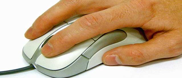 mouse